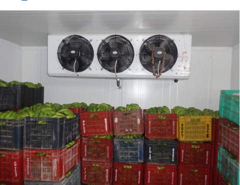 Walk In Cold Room Storage Chiller for Vegetables